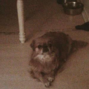 Meet your Posher, Lee